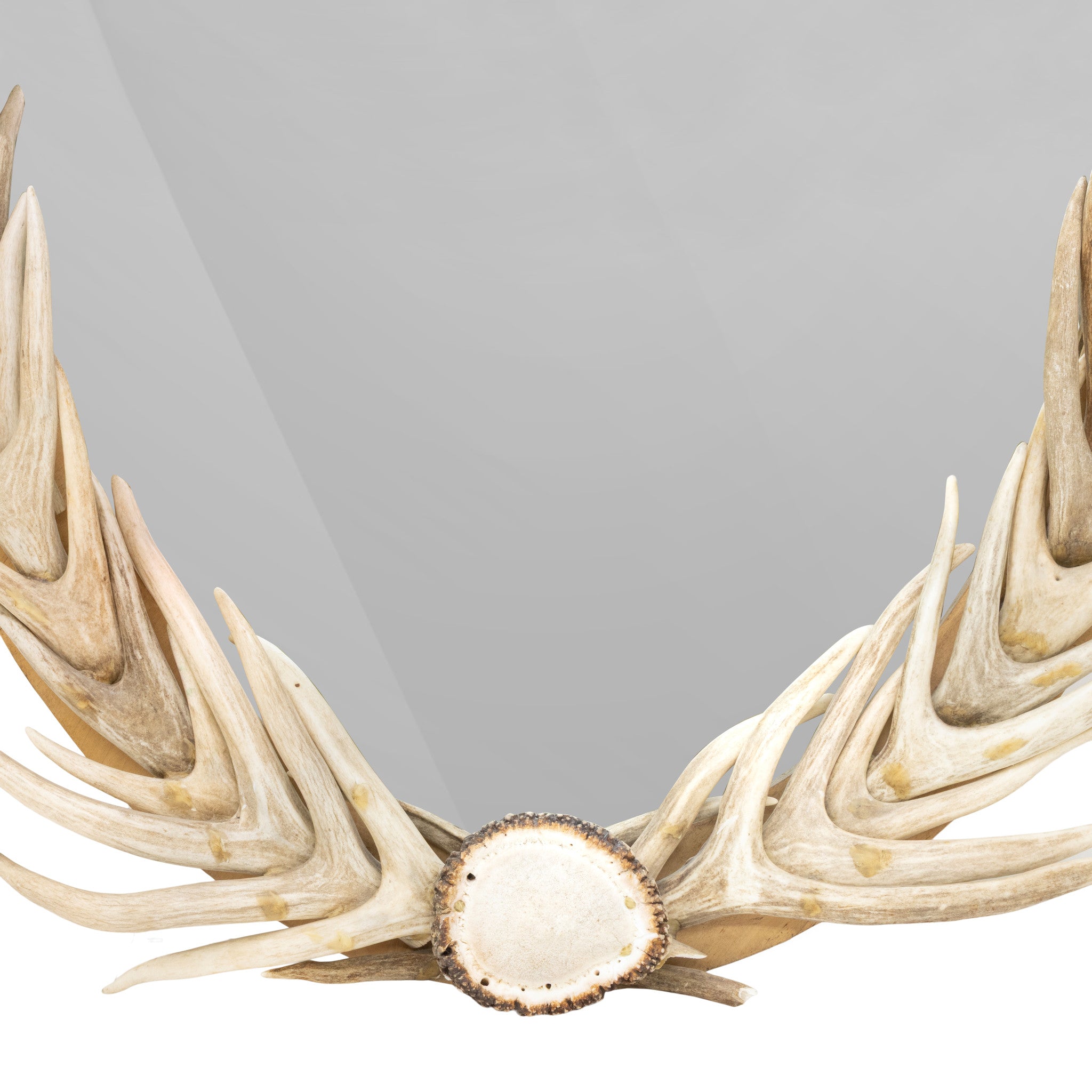 Antler Tine and Burr Mirror