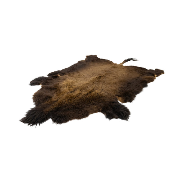 Buffalo Hide, Furnishings, Taxidermy, Buffalo