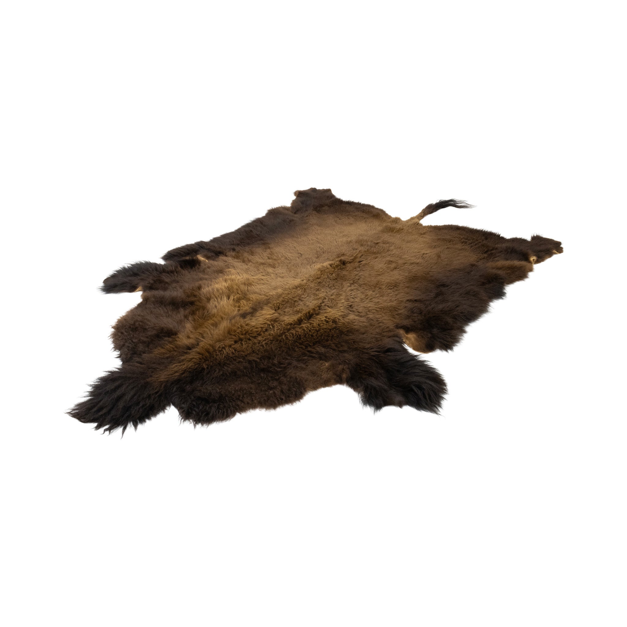Buffalo Hide, Furnishings, Taxidermy, Buffalo
