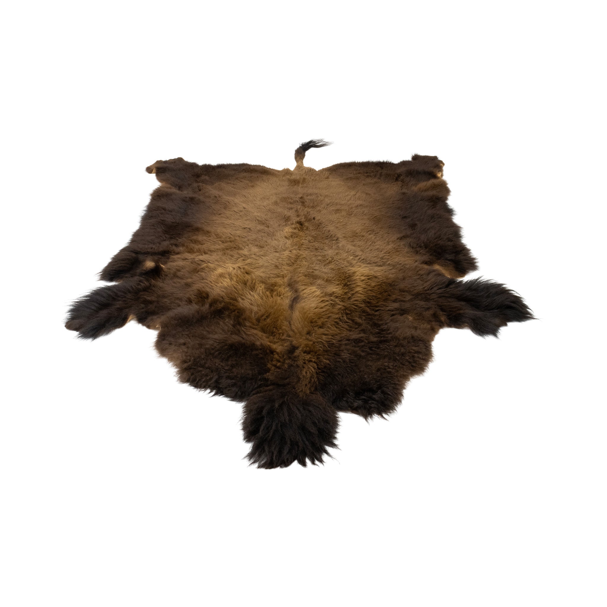 Buffalo Hide