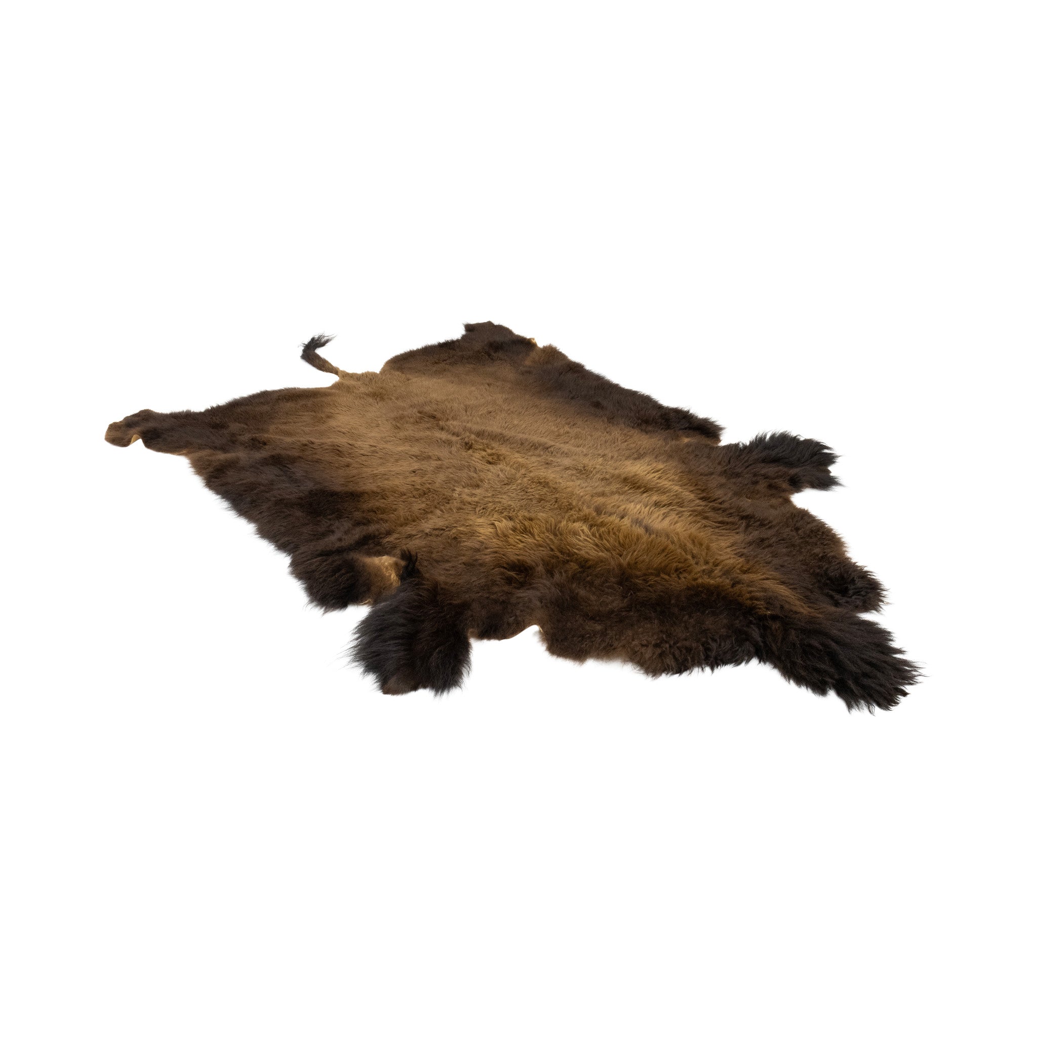 Buffalo Hide