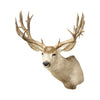 Massive Mule Deer Shoulder Mount, Furnishings, Taxidermy, Deer