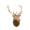 Idaho Elk Shoulder Mount