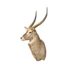 Water Buck Shoulder Mount