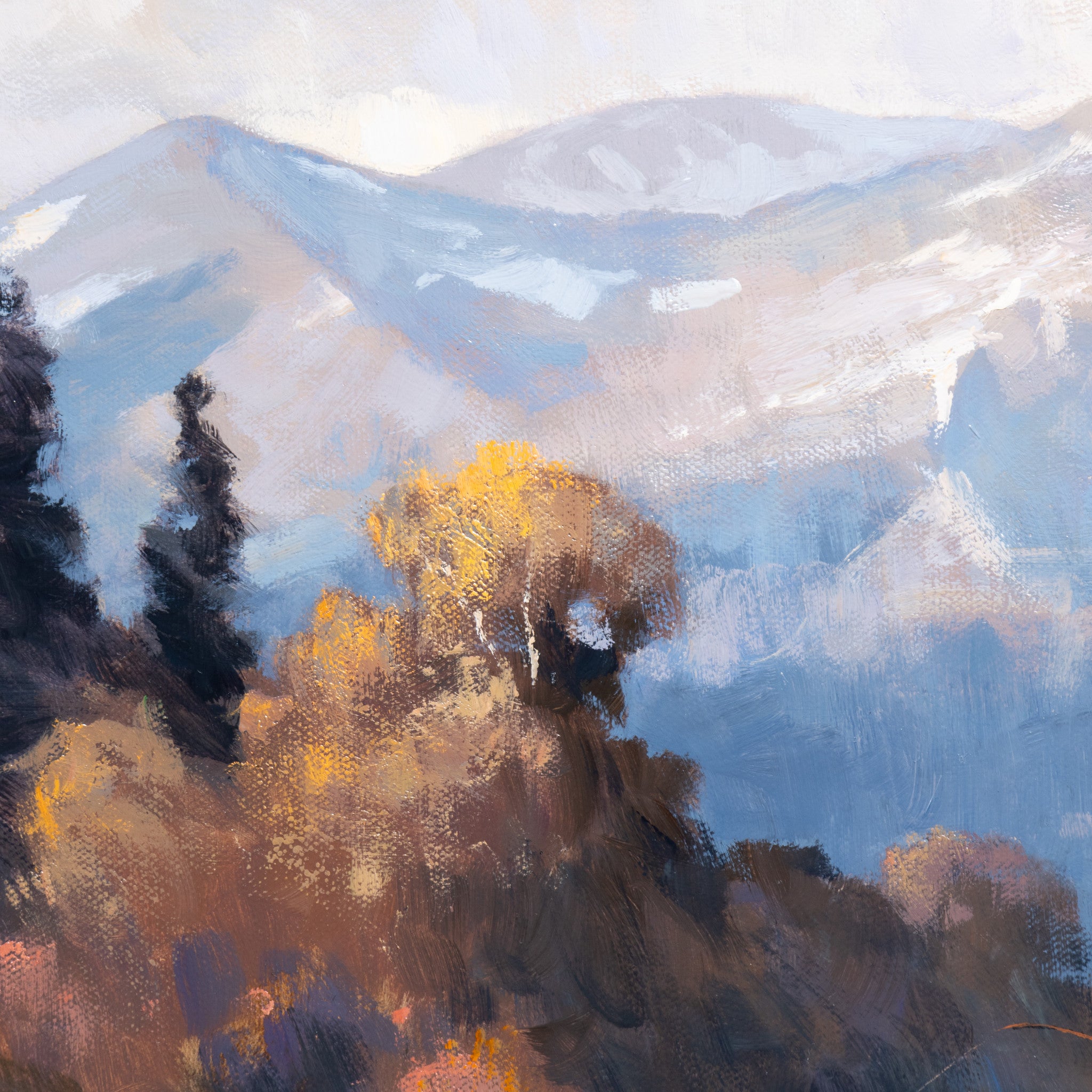 Bitterroot by Greg Parker