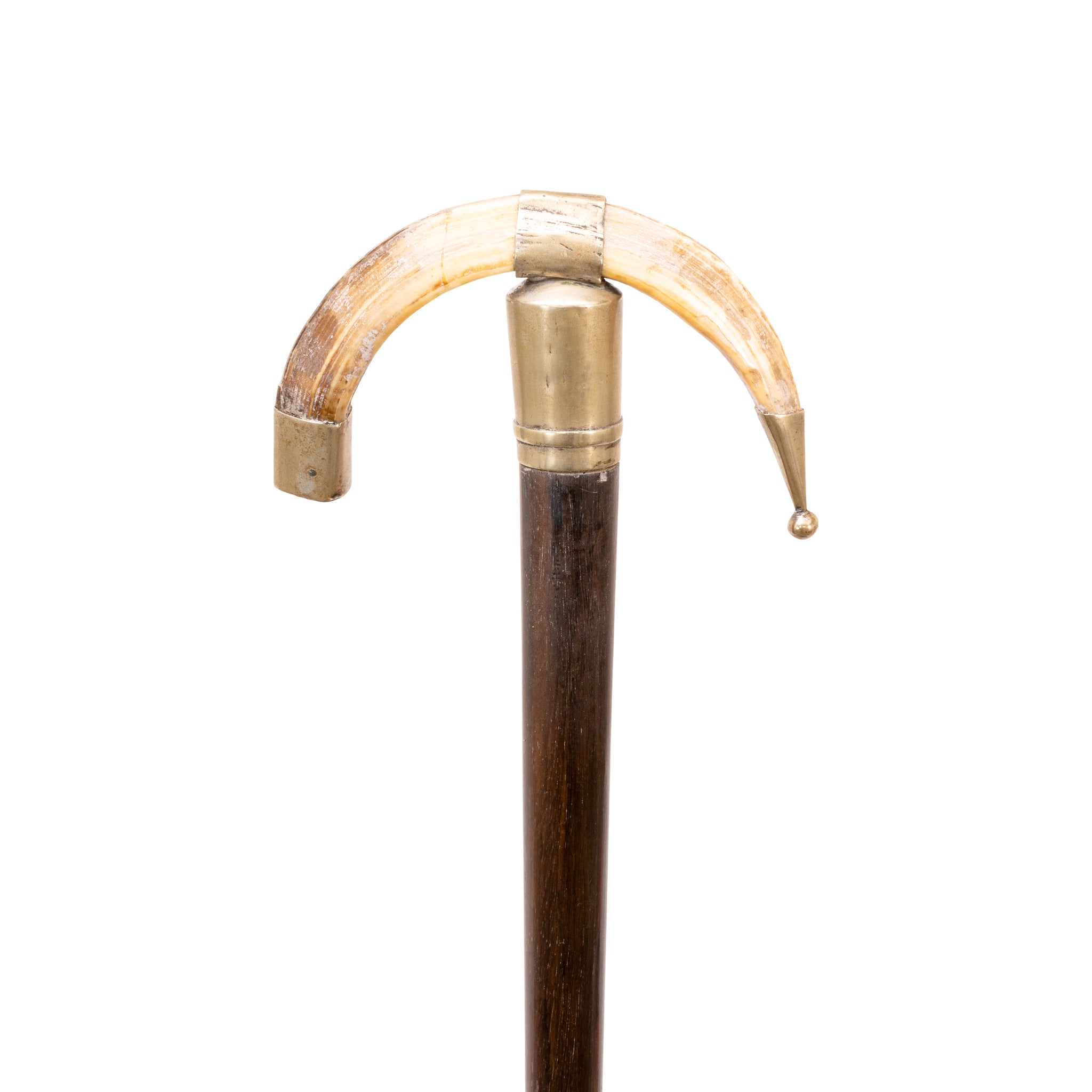 Silver and Boar Dress Cane