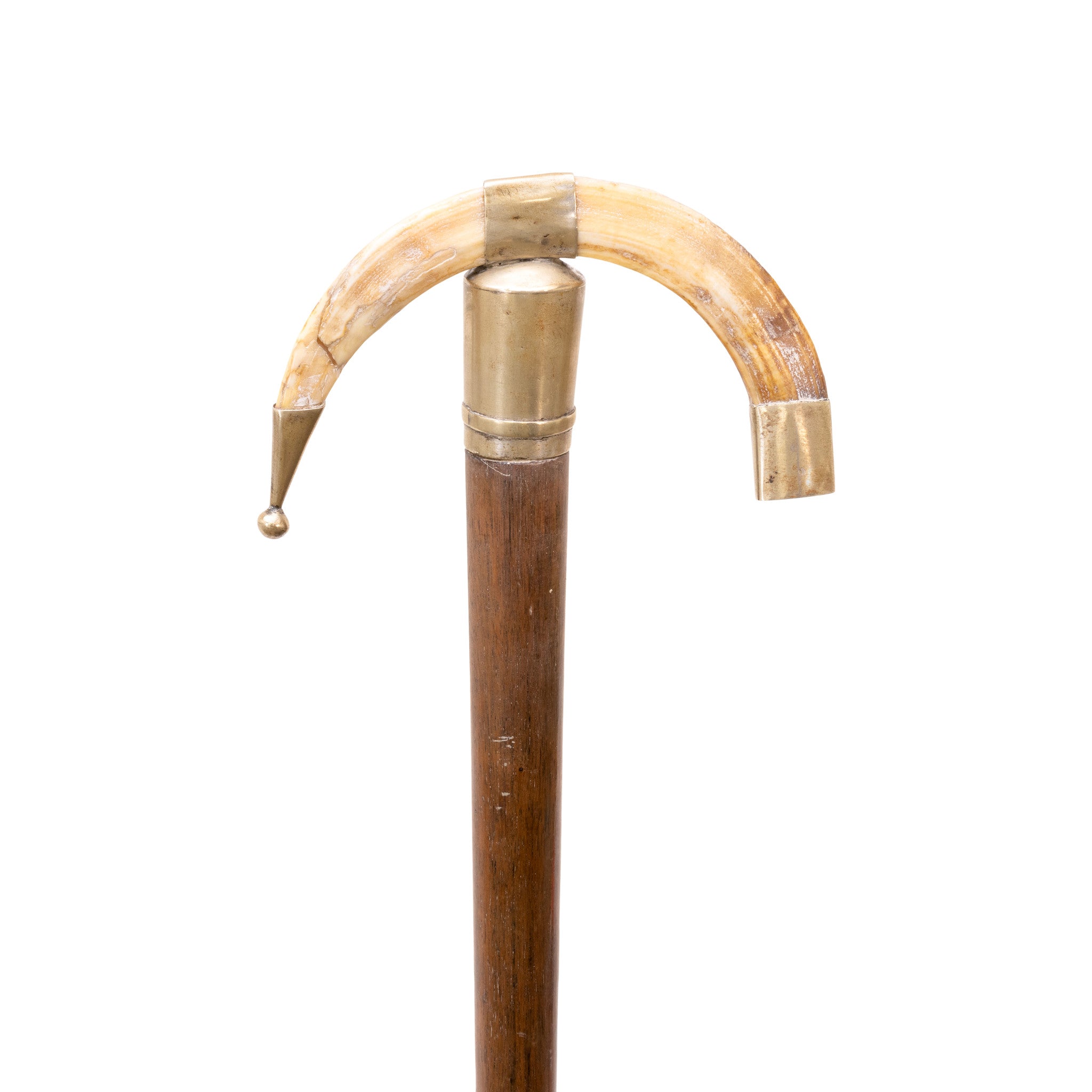 Silver and Boar Dress Cane