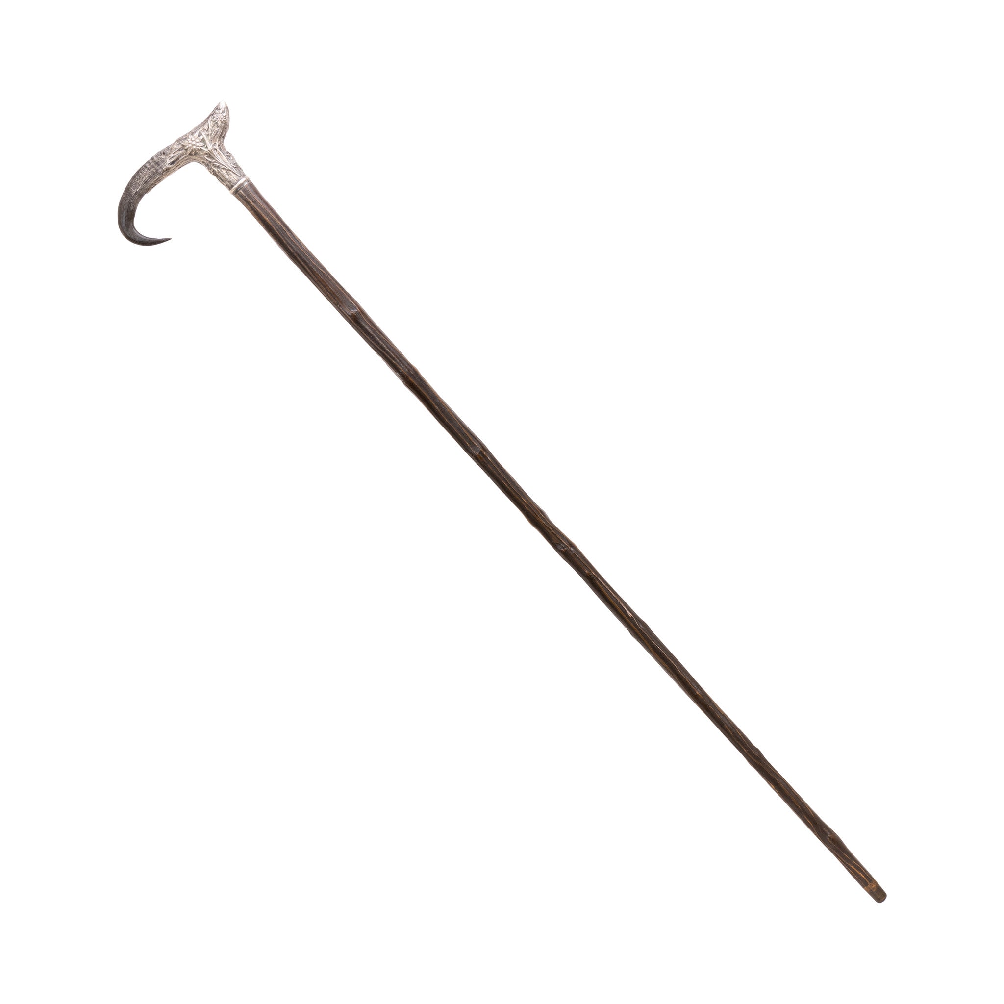 Horn and Silver Dress Cane