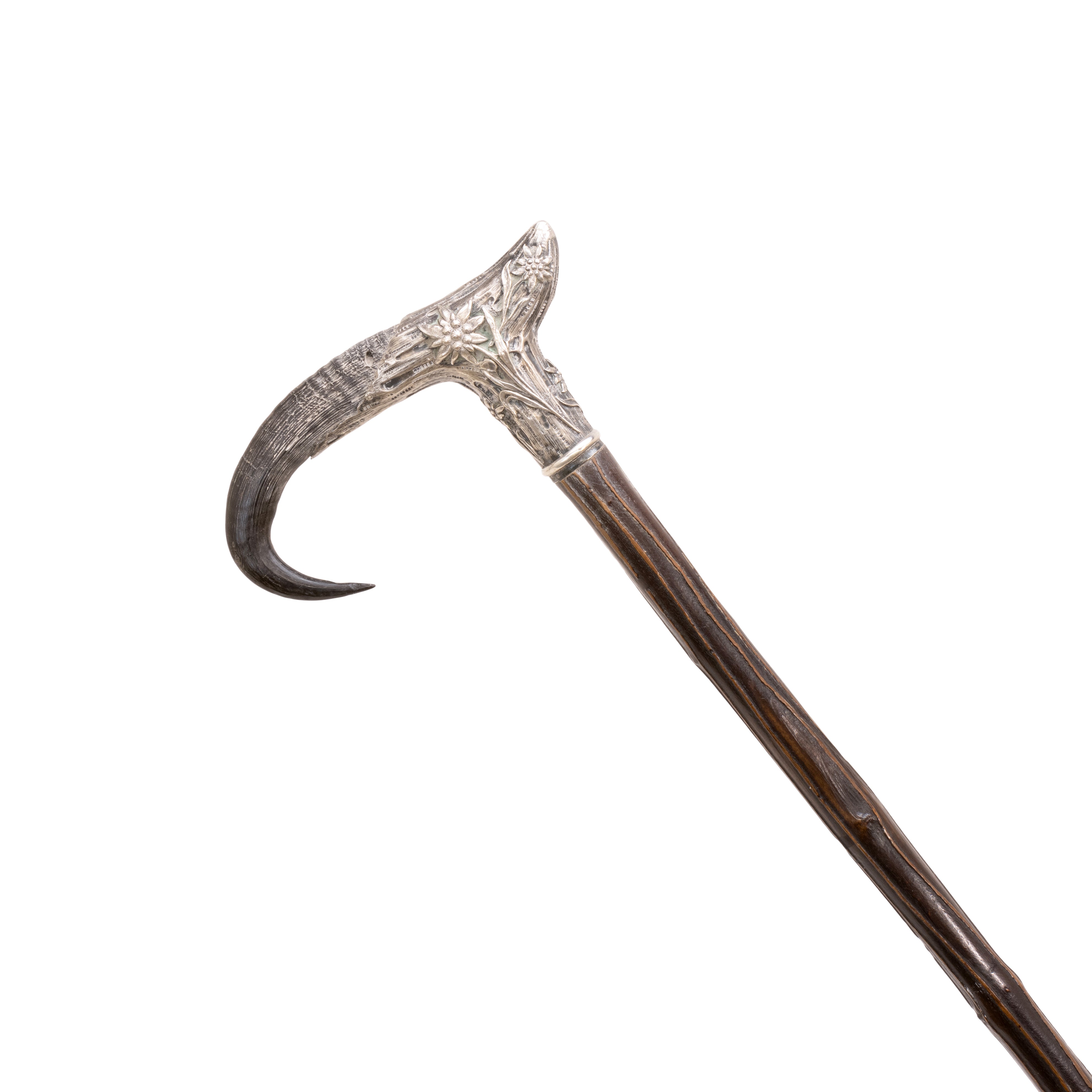 Horn and Silver Dress Cane