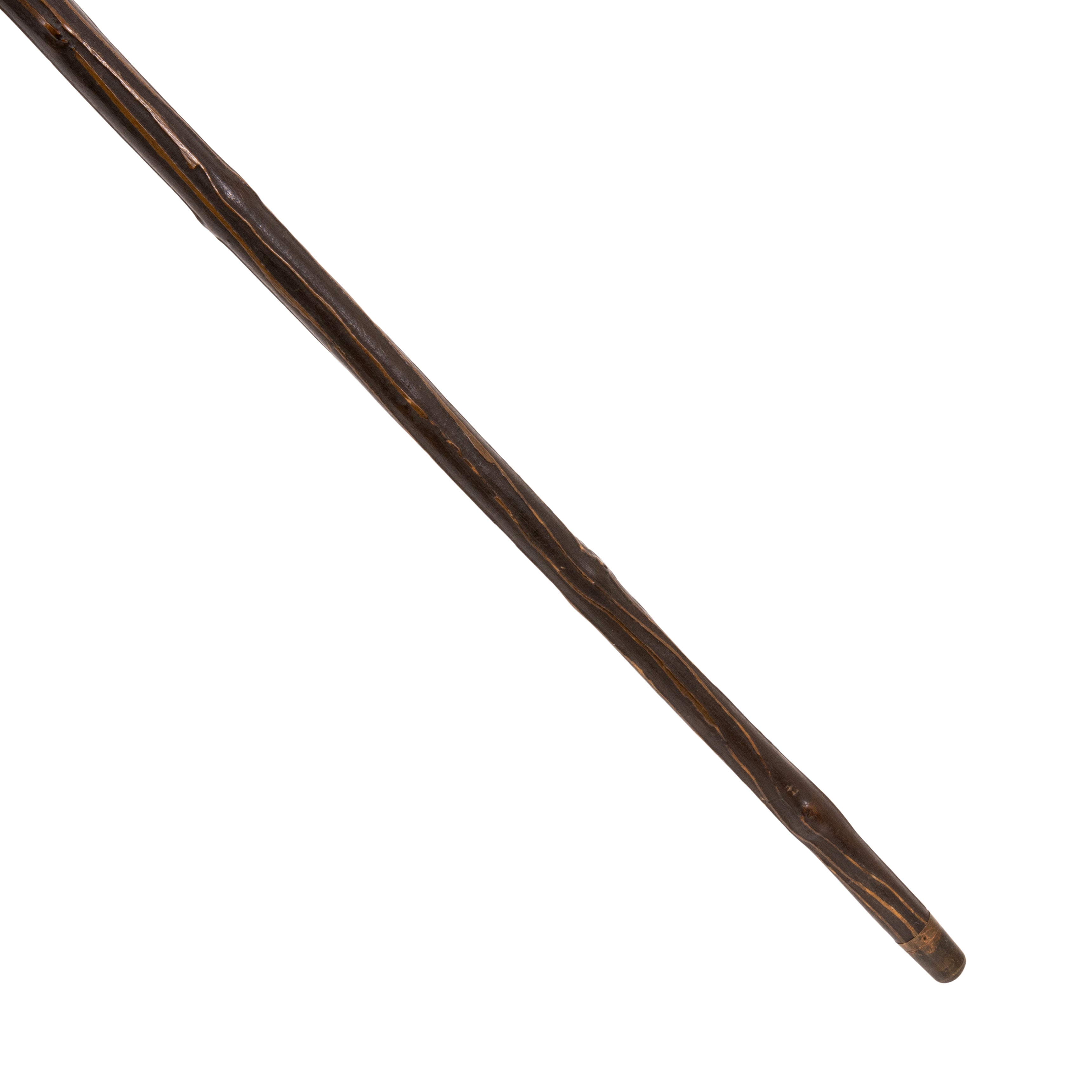 Horn and Silver Dress Cane