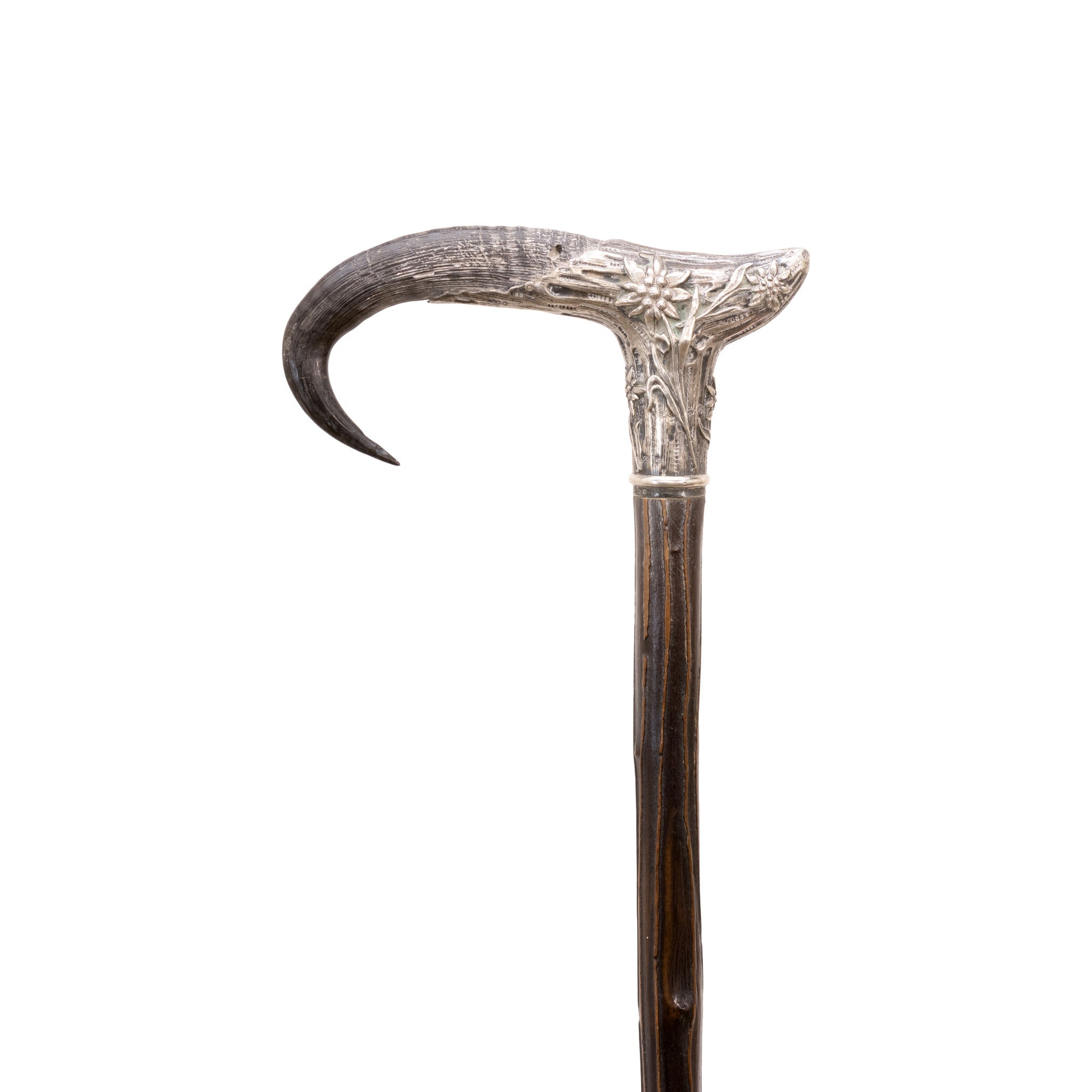 Horn and Silver Dress Cane