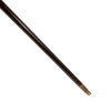 Sword Cane