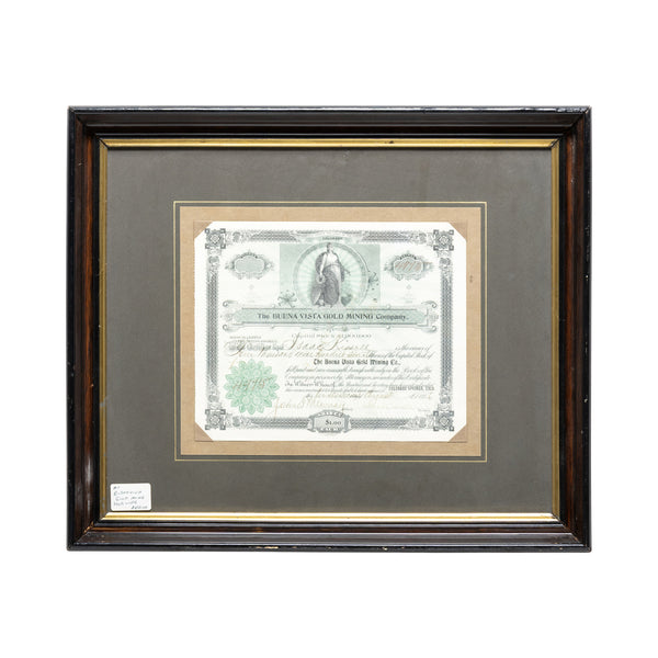 Buena Vista Gold Mining Stock, Western, Mining, Gold Rush