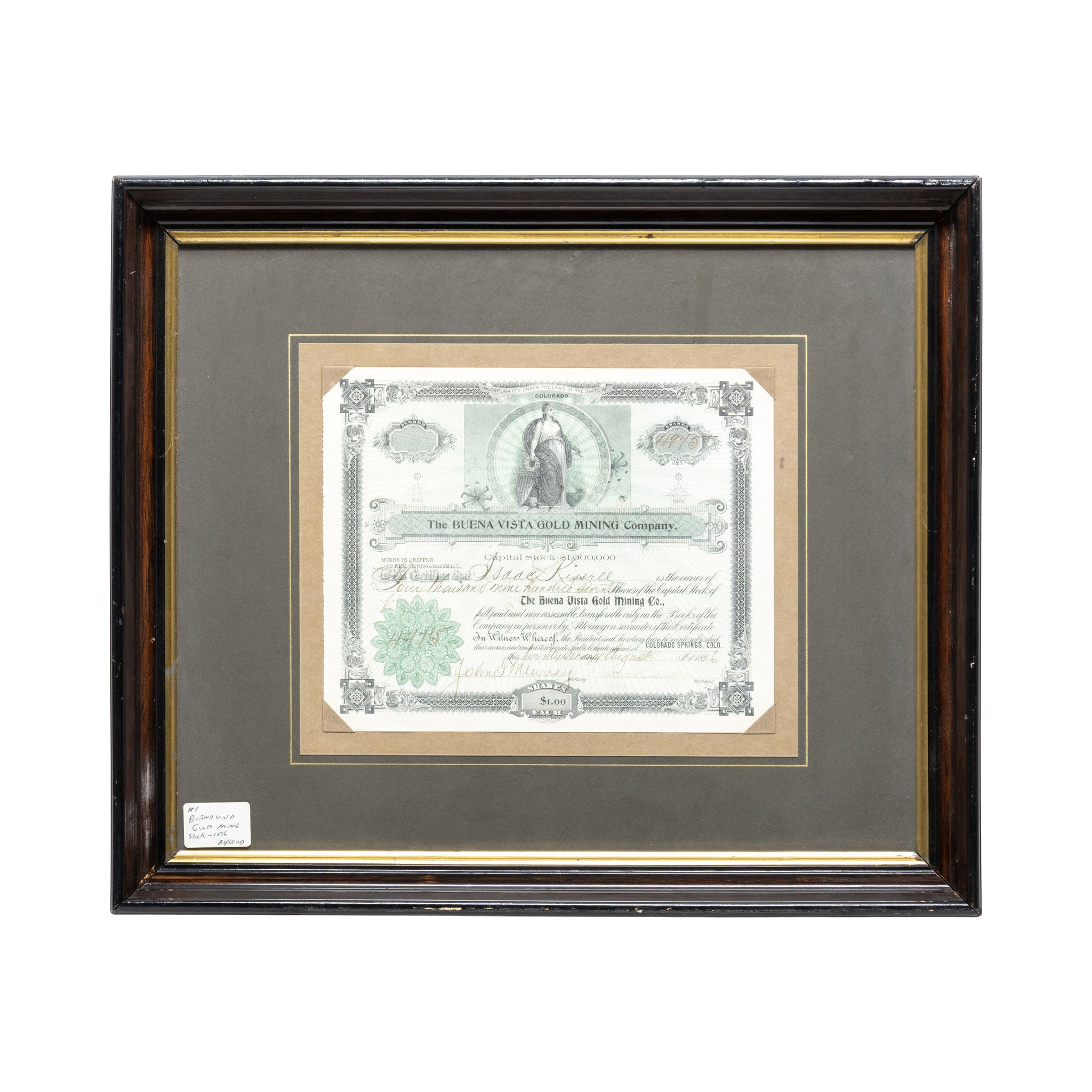 Buena Vista Gold Mining Stock, Western, Mining, Gold Rush