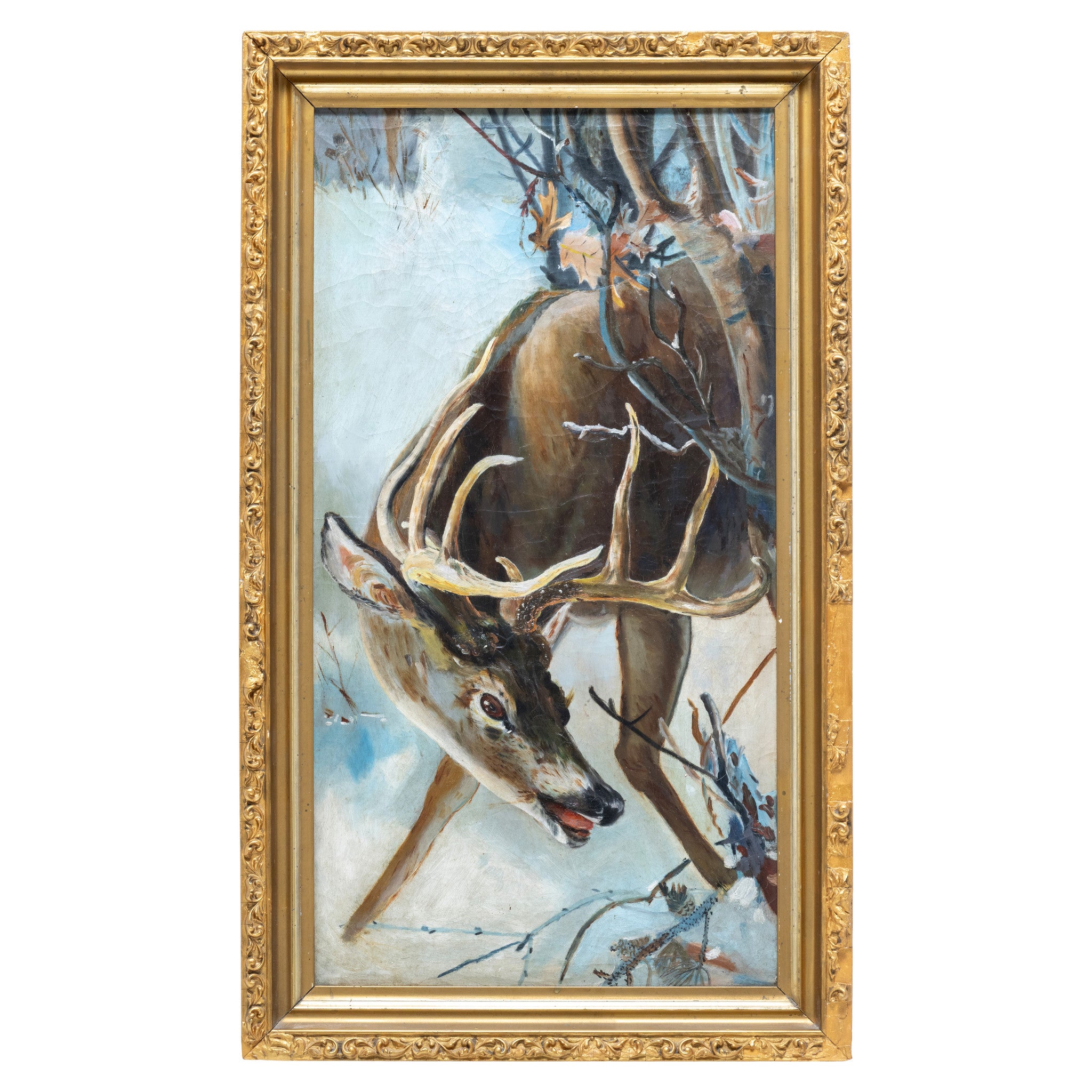 Whitetail in Rut