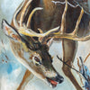 Whitetail in Rut