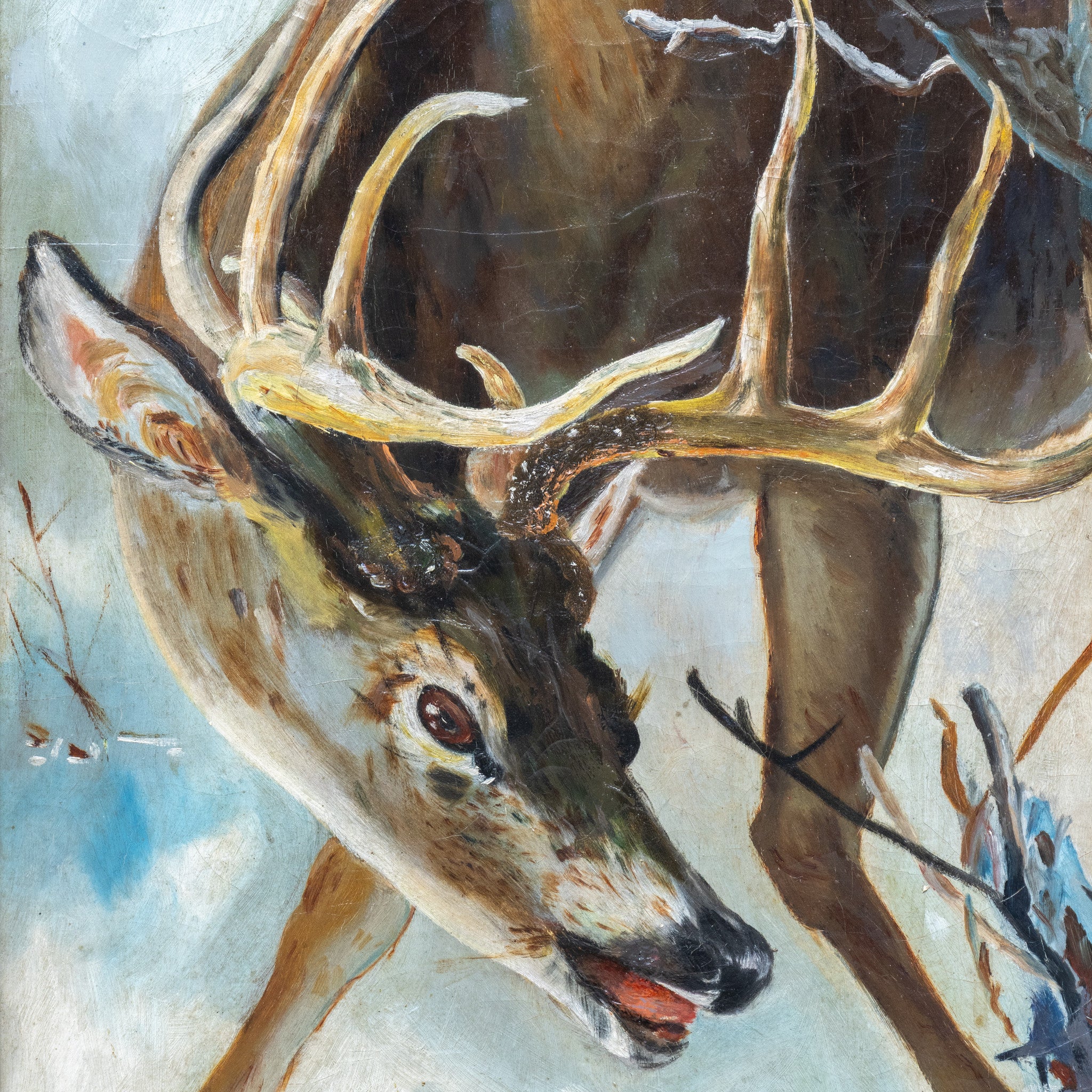 Whitetail in Rut