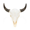 Wyoming Buffalo Skull, Furnishings, Taxidermy, Buffalo