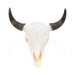 Wyoming Buffalo Skull, Furnishings, Taxidermy, Buffalo