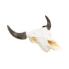 Wyoming Buffalo Skull