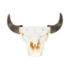 Wyoming Buffalo Skull