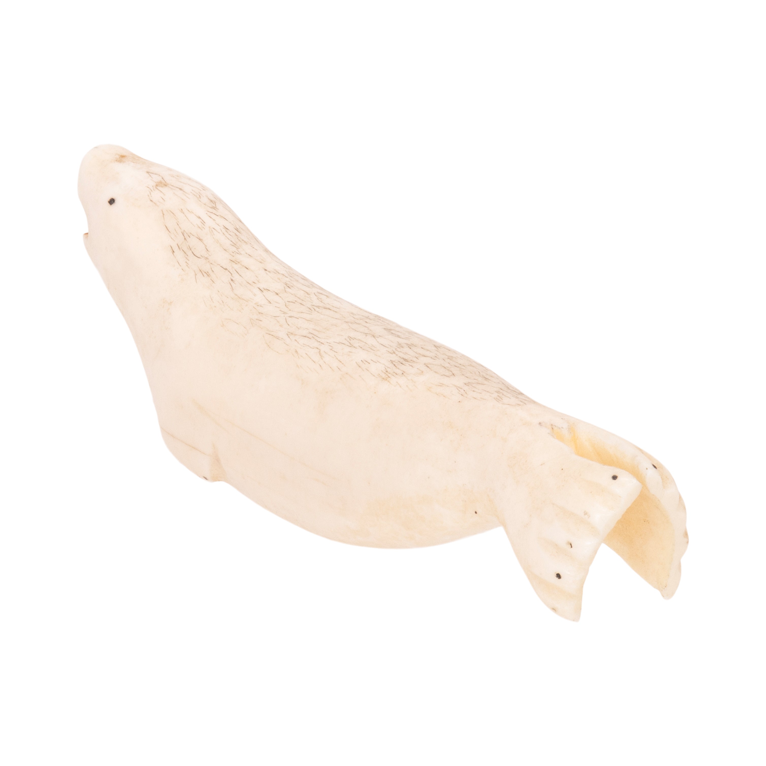 Inuit Carved Swimming Seal