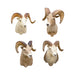 North American Sheep Grand Slam, Furnishings, Taxidermy, Sheep