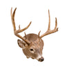 Montana Whitetail Deer Mount, Furnishings, Taxidermy, Deer