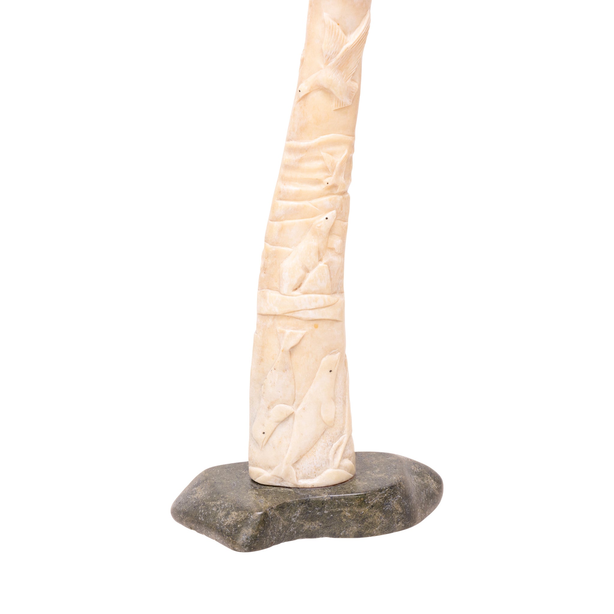 Fossilized Walrus Oosik