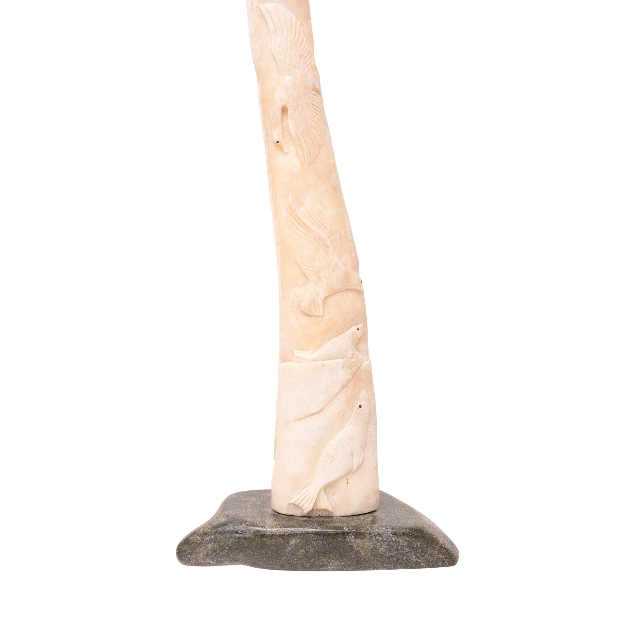 Fossilized Walrus Oosik