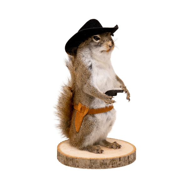 Cowboy Squirrel, Furnishings, Taxidermy, Other