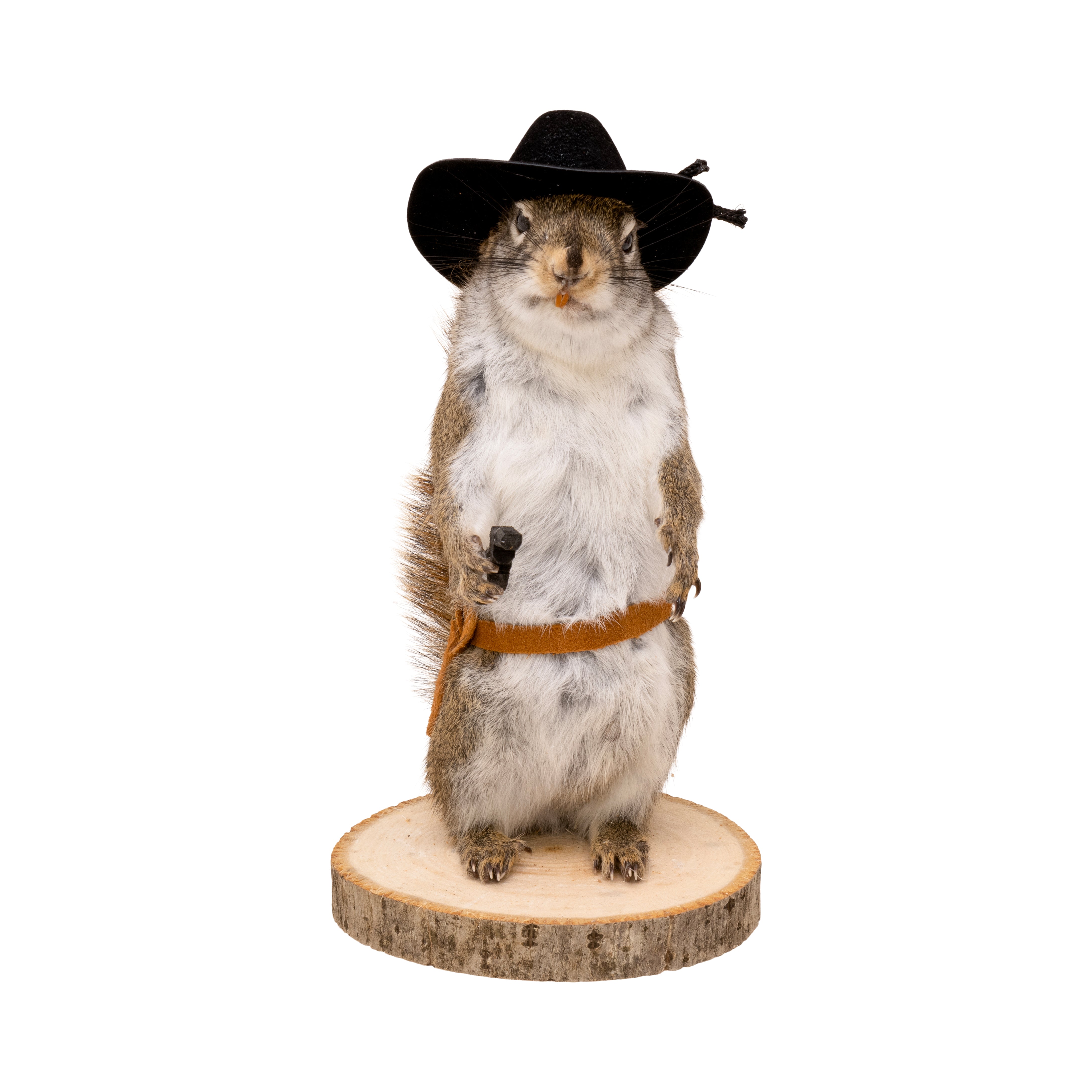 Cowboy Squirrel