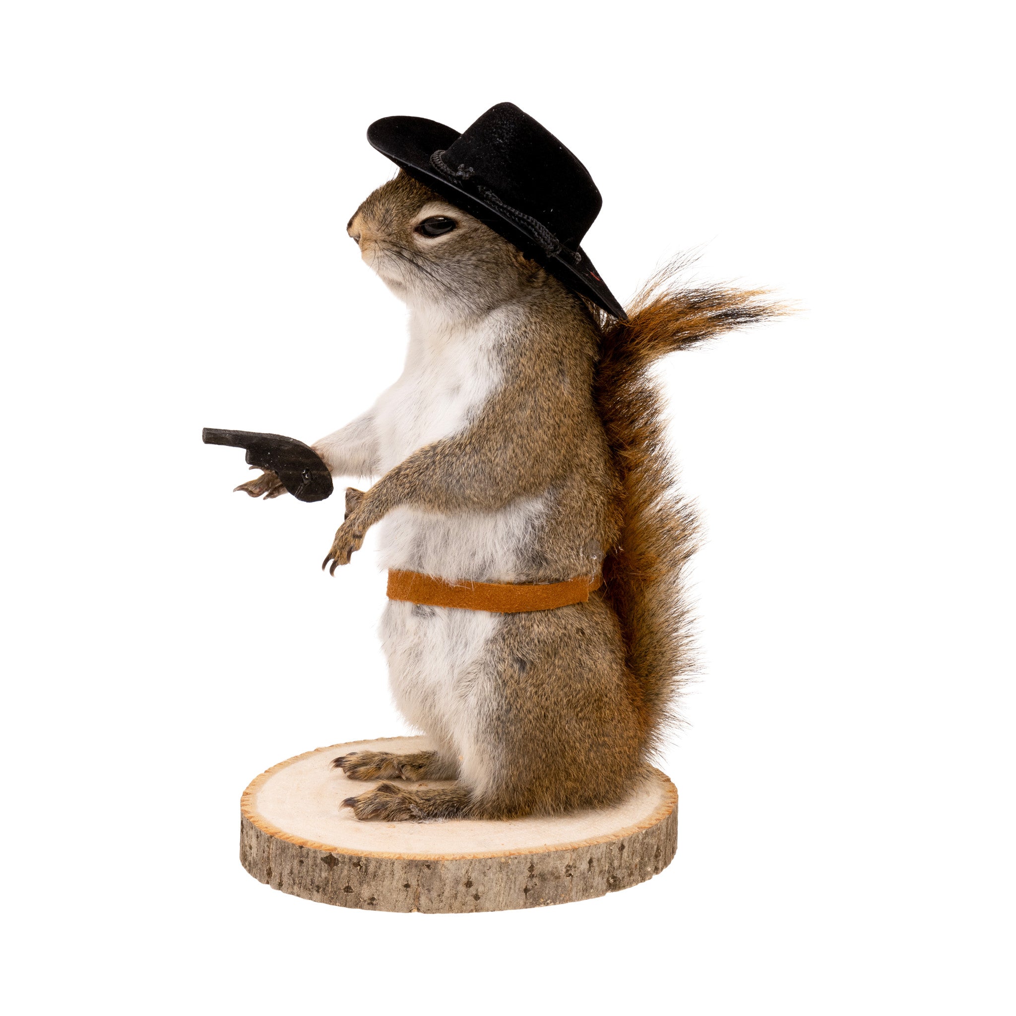 Cowboy Squirrel