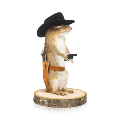 Cowboy Chipmunk, Furnishings, Taxidermy, Other
