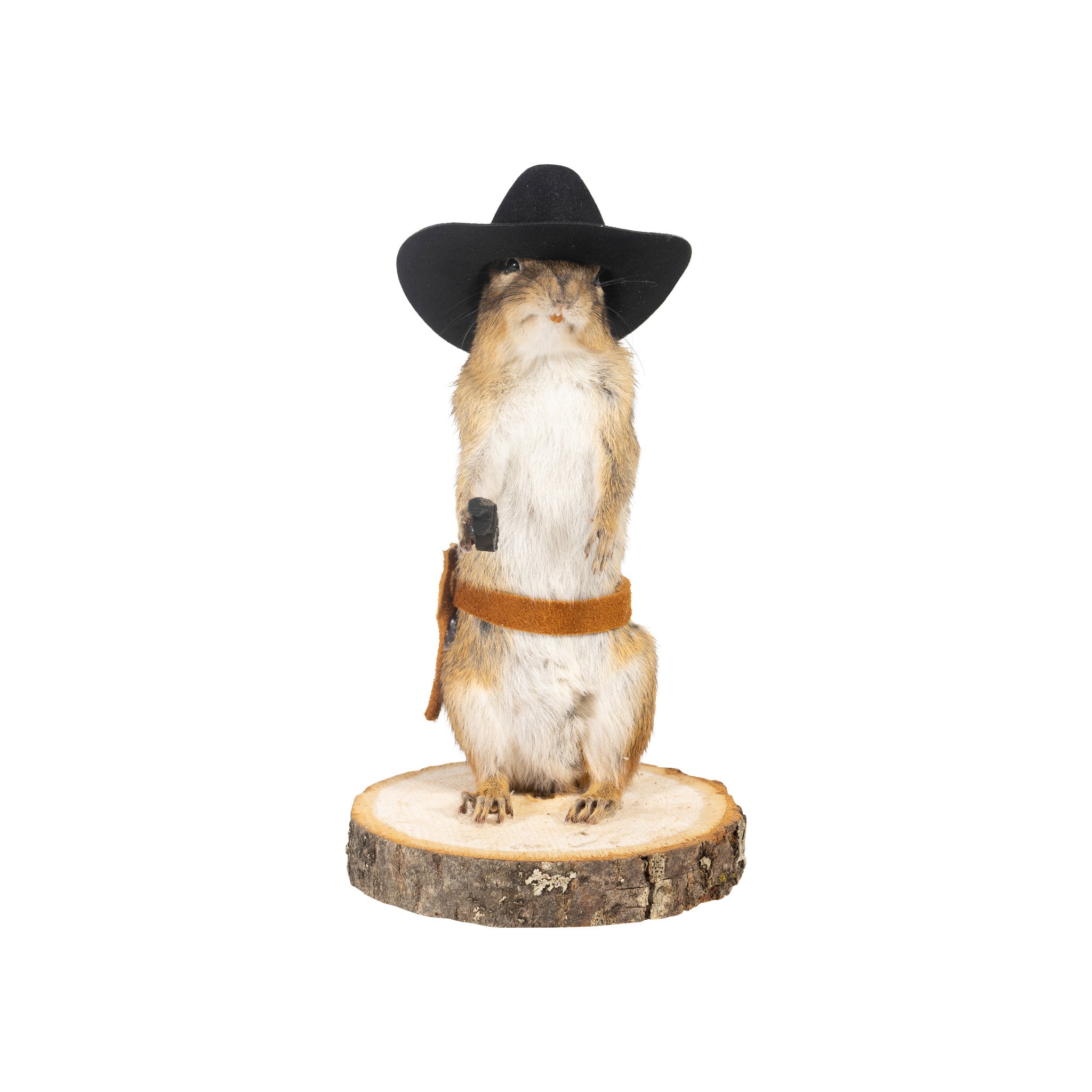 Cowboy Chipmunk