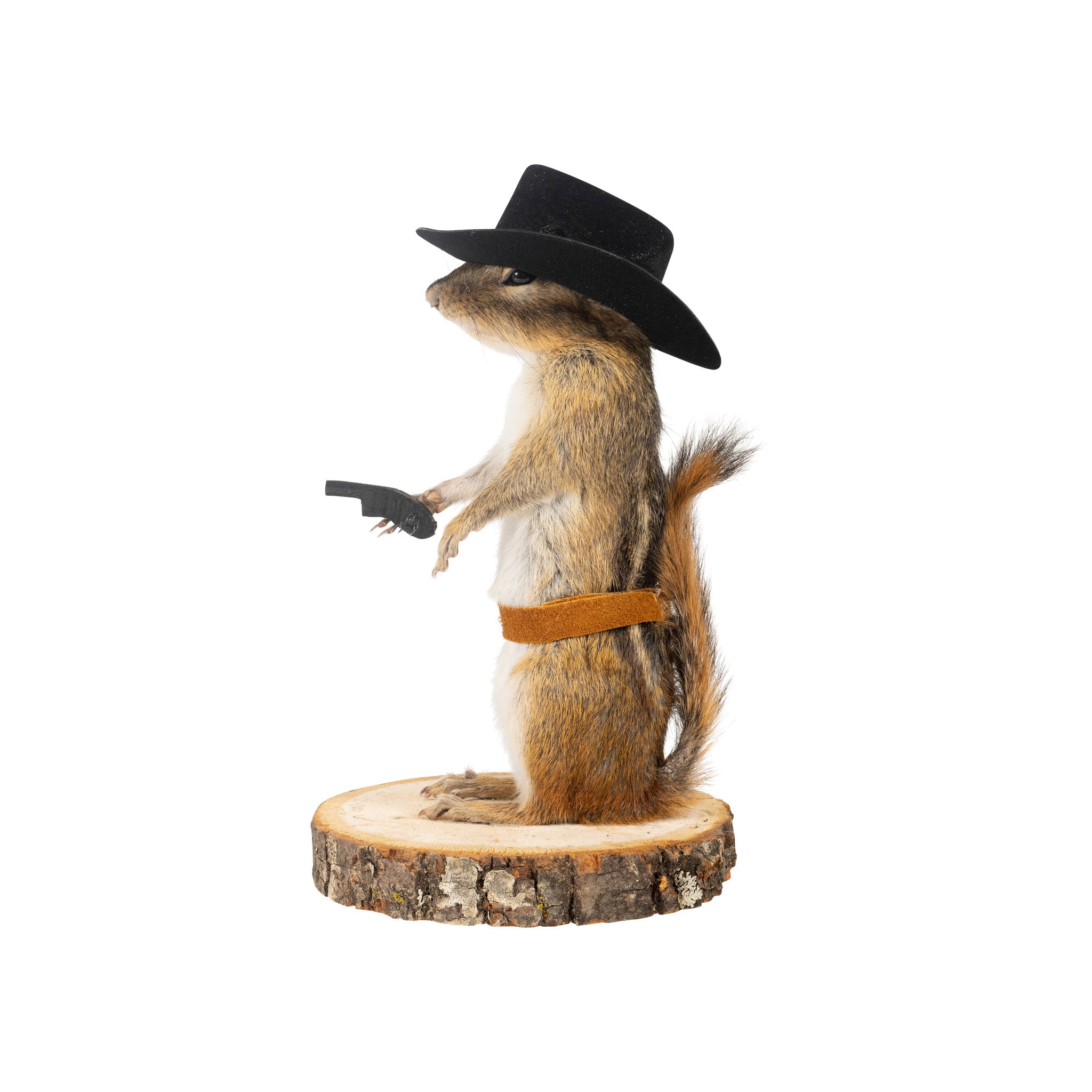 Cowboy Chipmunk