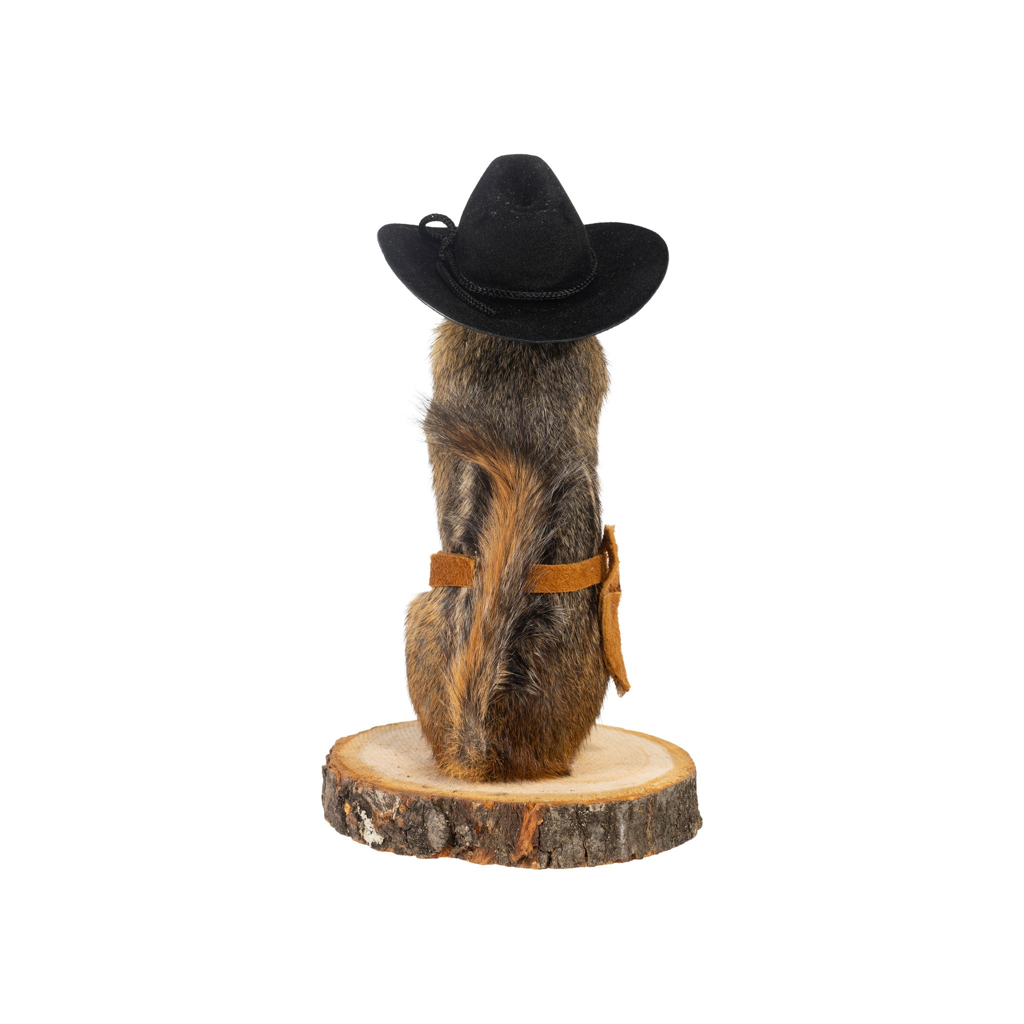 Cowboy Chipmunk