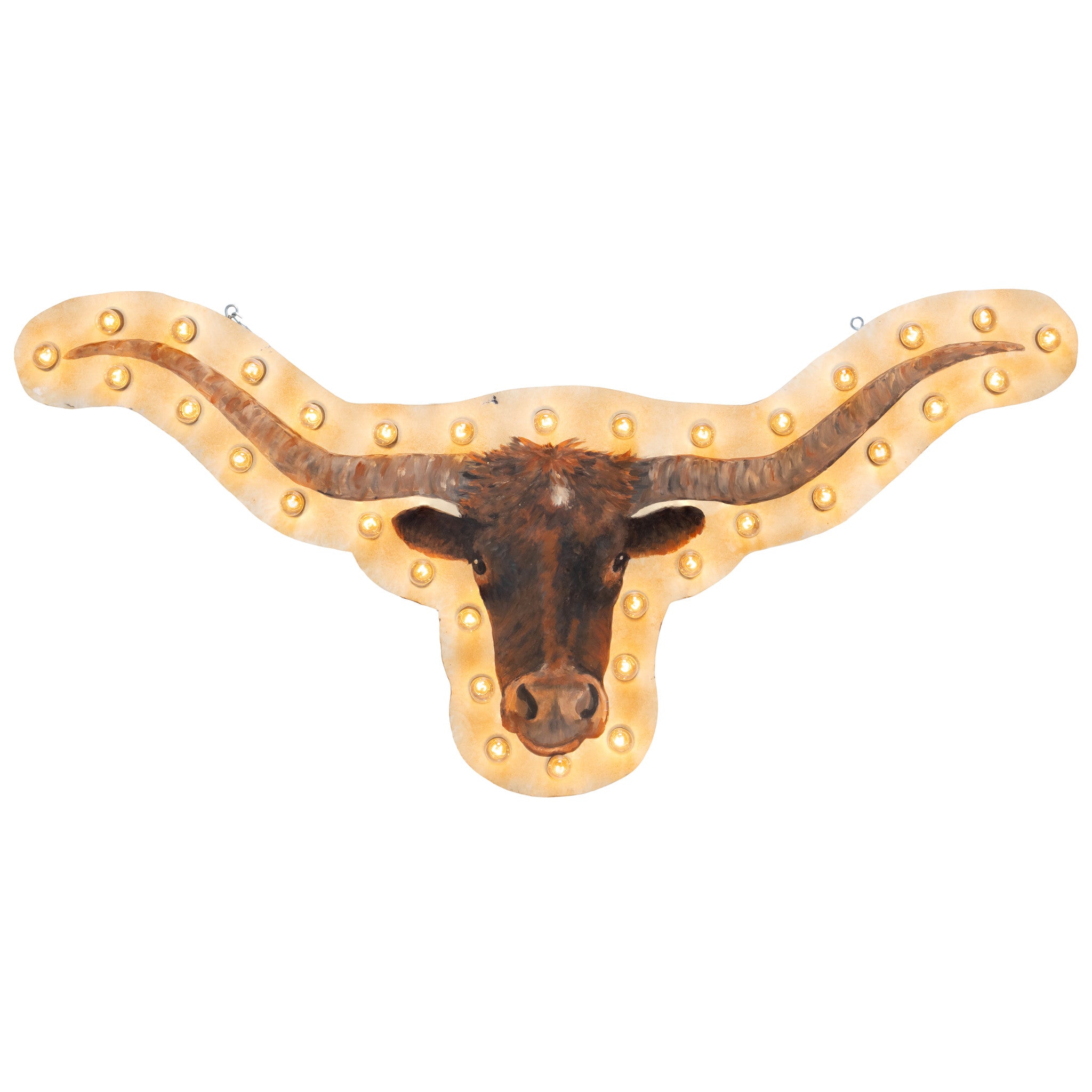 Lighted Longhorn Sign