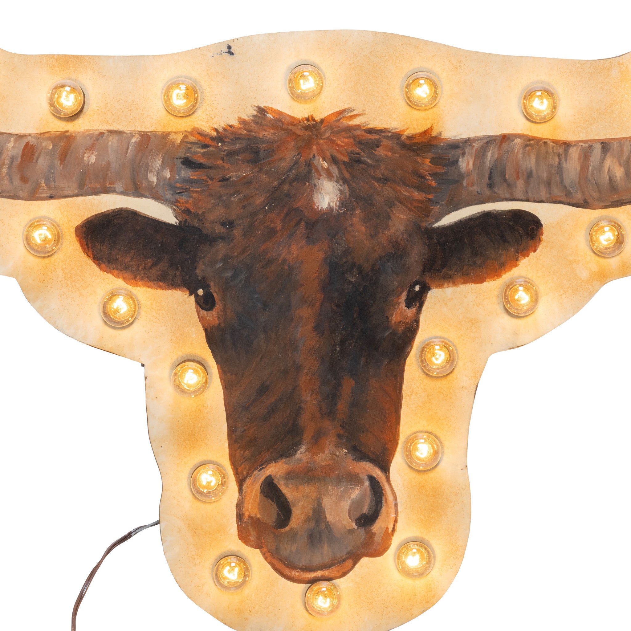 Lighted Longhorn Sign
