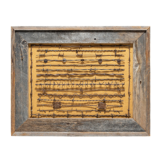 Texas Framed Barbed Wire Display, Western, Other, Other