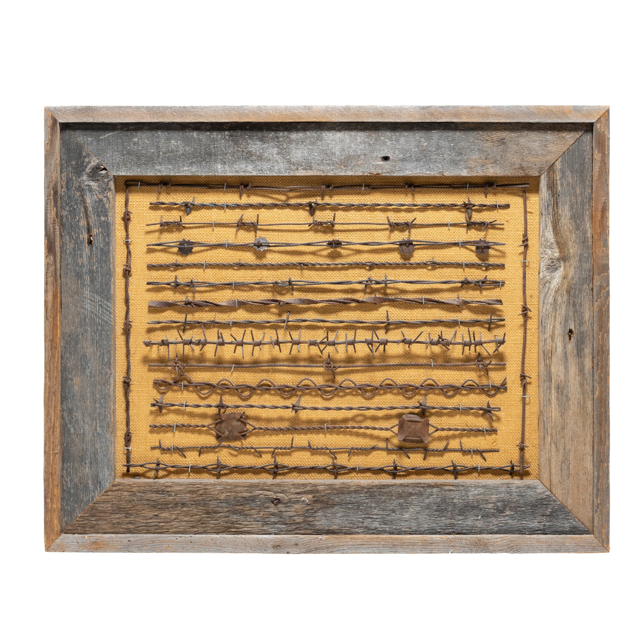 Texas Framed Barbed Wire Display, Western, Other, Other