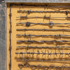 Texas Framed Barbed Wire Display