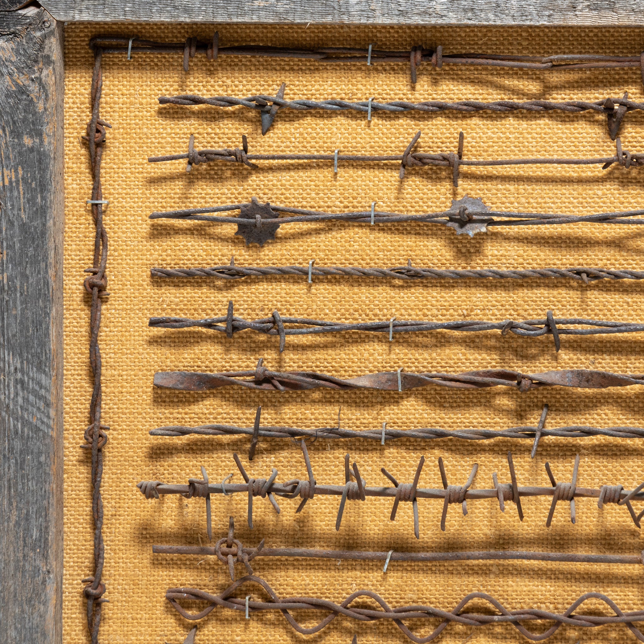Texas Framed Barbed Wire Display