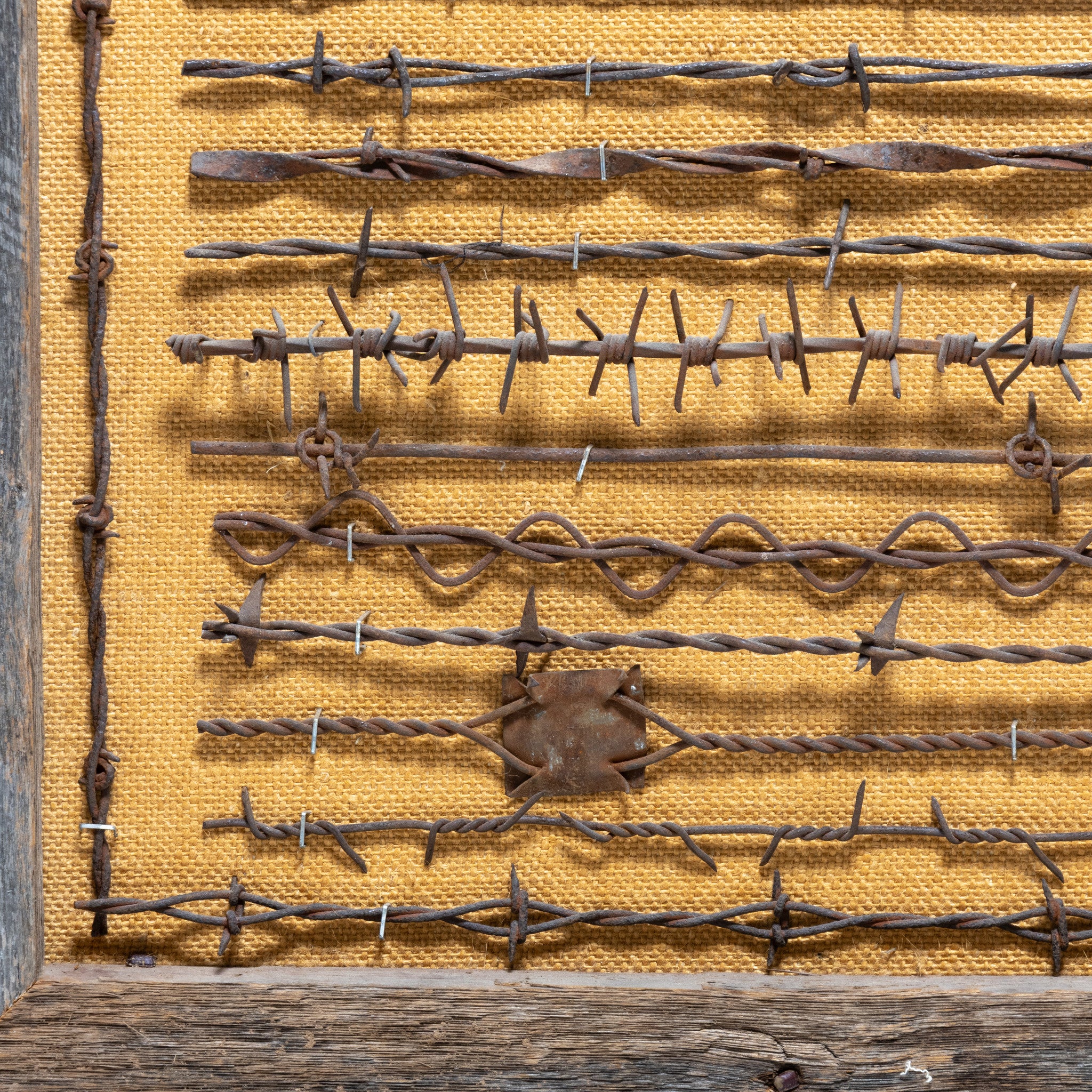 Texas Framed Barbed Wire Display