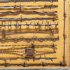 Texas Framed Barbed Wire Display