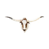 Texas Longhorn Shoulder Mount