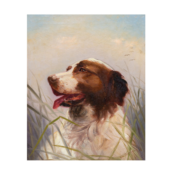 Sporting Portrait of Dog by Claudius Schreyer, Fine Art, Painting, Sporting