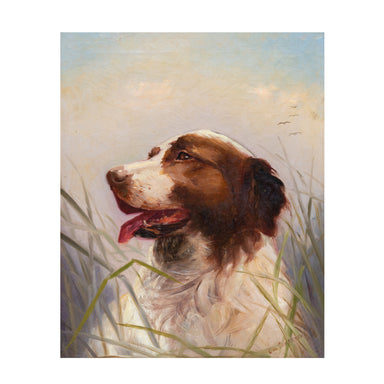 Sporting Portrait of Dog by Claudius Schreyer, Fine Art, Painting, Sporting