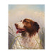 Sporting Portrait of Dog by Claudius Schreyer, Fine Art, Painting, Sporting