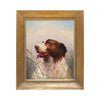 Sporting Portrait of Dog by Claudius Schreyer